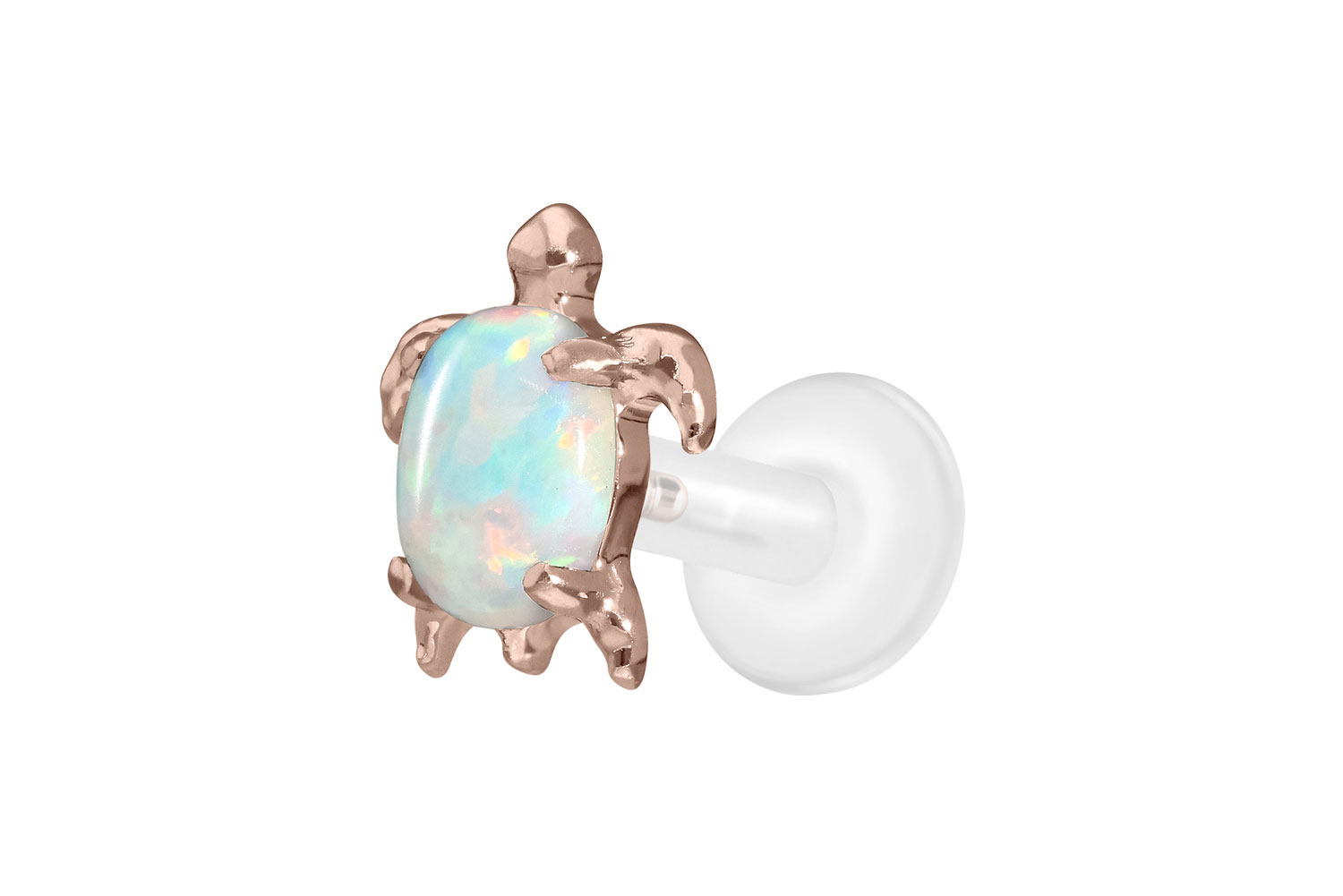 PTFE Labret Piercing mit Innengewinde + Titan-Aufsatz SCHILDKRÖTE